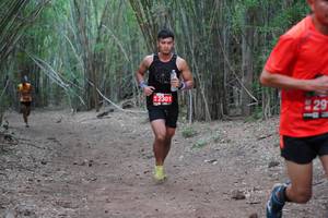 BIB: 2301
                            <button type="button" onclick="openModal(4120742)" class="btn btn-primary btn-sm float-right btn-popup" data-toggle="modal" data-target=".modal-high-quality">
                        <i class="fas fa-shopping-cart"></i> Add to Cart
                    </button>
                                            <button type="button" onclick="isThisMe(4120742, true)" class="btn btn-success btn-sm float-right btn-popup btn-isme hidden" data-toggle="tooltip" data-placement="bottom" title="นี่คือรูปของคุณใช่ไหม คลิกที่นี่เพื่อเอาเข้าอัลบั้ม">
                        <i class="fas fa-plus"></i> Add to album
                    </button>
                    <button type="button" onclick="isThisMe(4120742, false)" class="btn btn-warning btn-sm float-right btn-popup btn-isnotme hidden">
                        <i class="fas fa-ban"></i> Remove from album
                    </button>